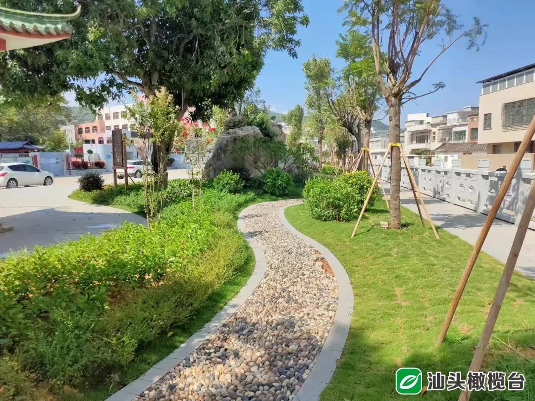 1634524492945322.jpg 7.jpg