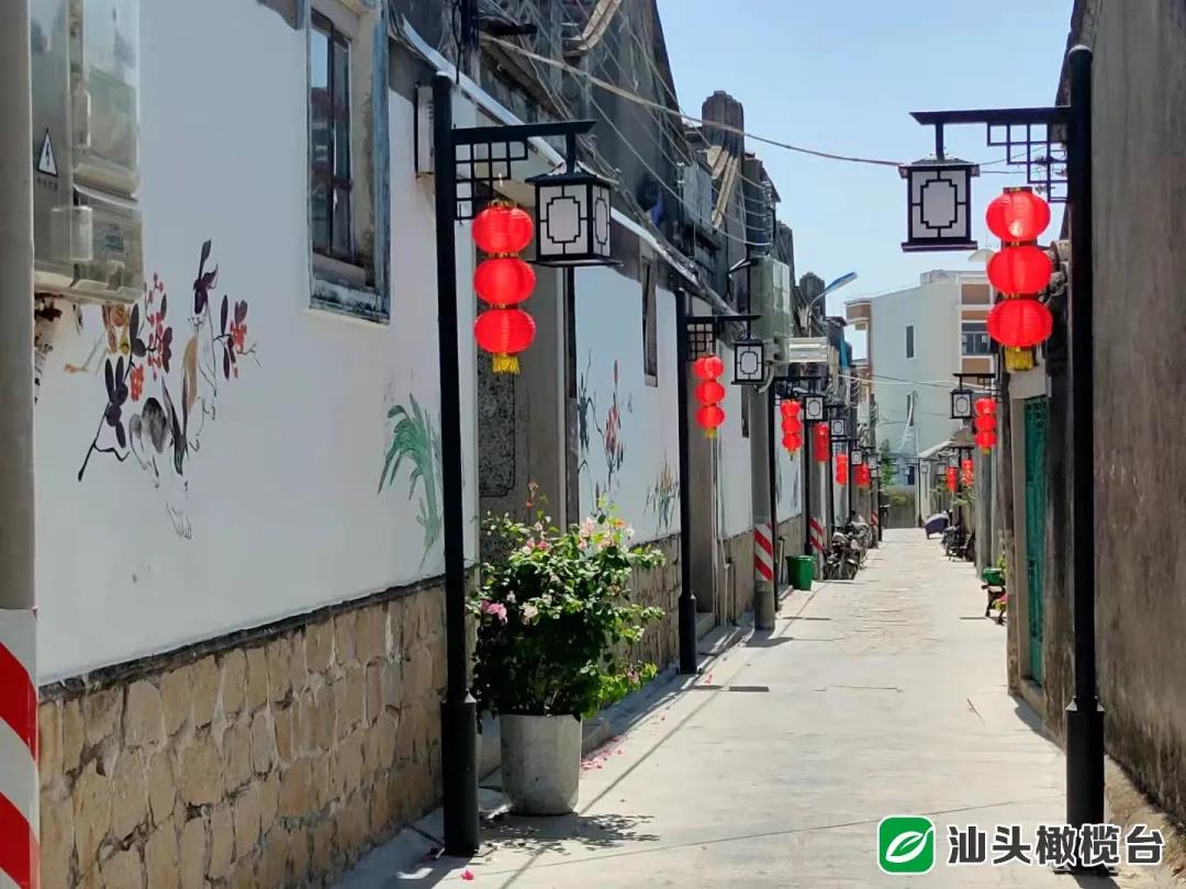 1634524520227379.jpg 9.jpg