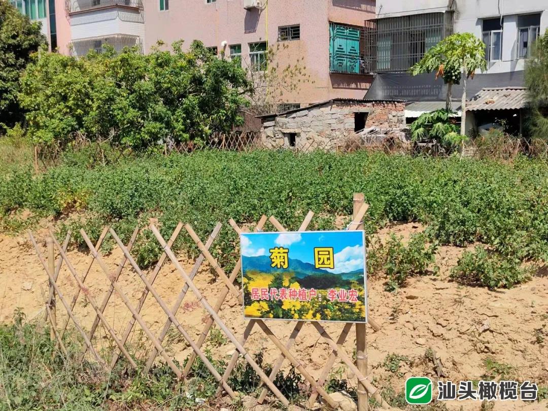 1634524542232371.jpg 11.jpg