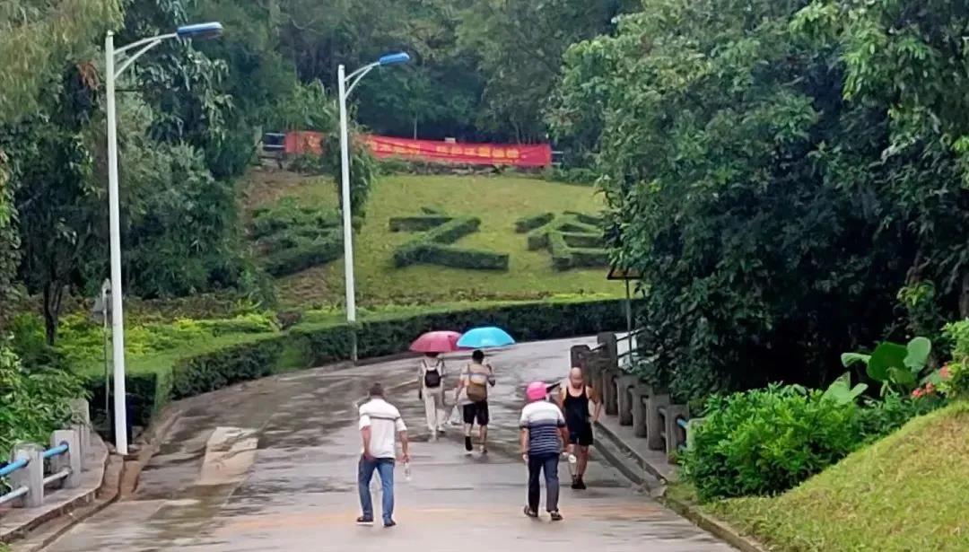 1634526619691047.jpg 6.jpg