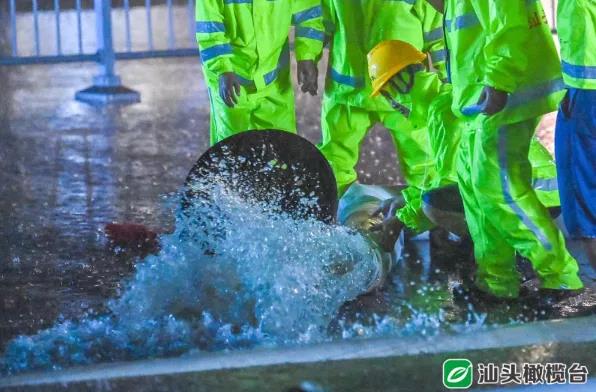 1634529806109558.jpg 4.jpg