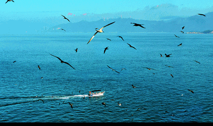 1634530444139569.gif 3.gif