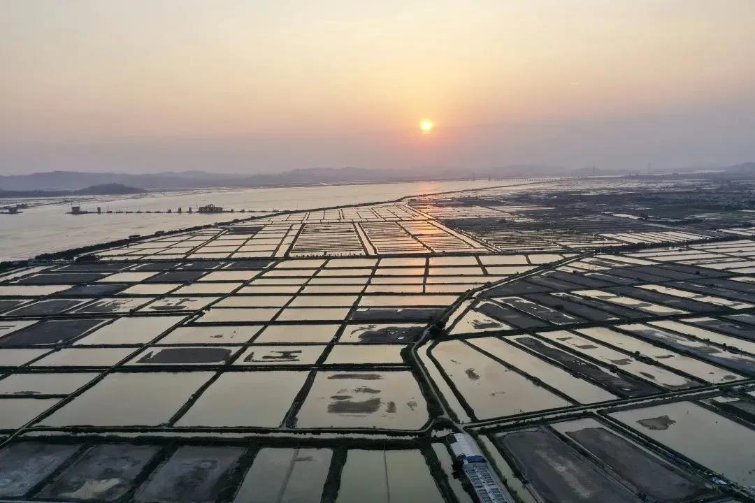 1634530470108500.jpg 5.jpg