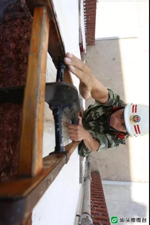 1634783092145232.jpg 4.jpg