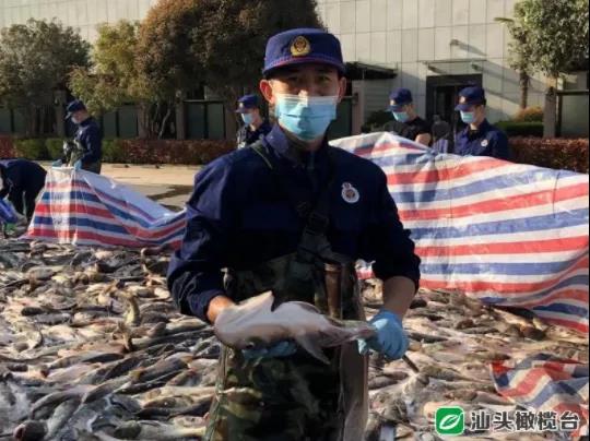 1634783119125450.jpg 6.jpg