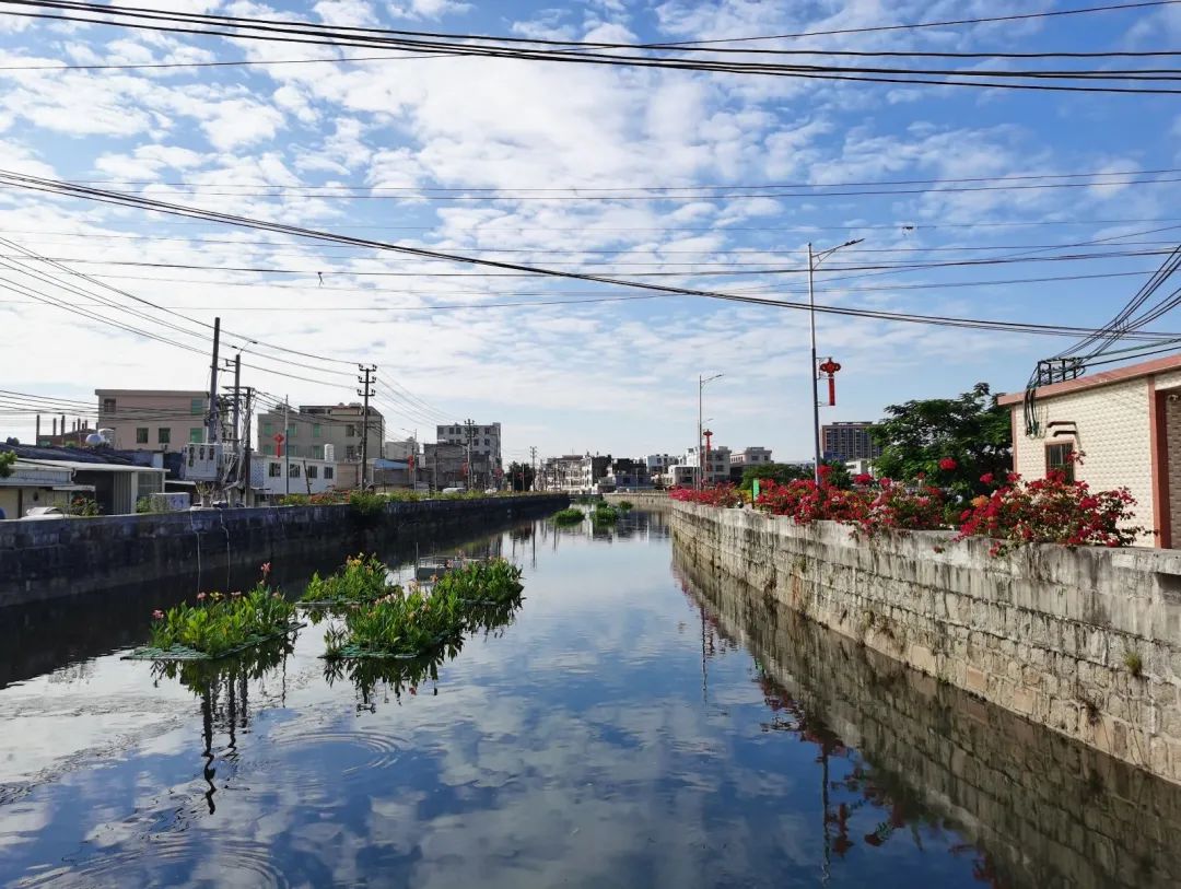 1635307511858785.jpg 2.jpg