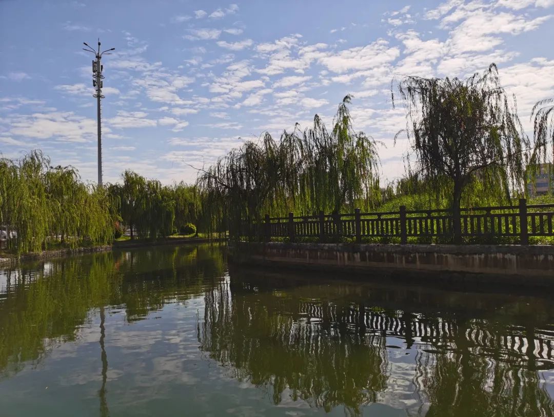 1635307519107682.jpg 3.jpg