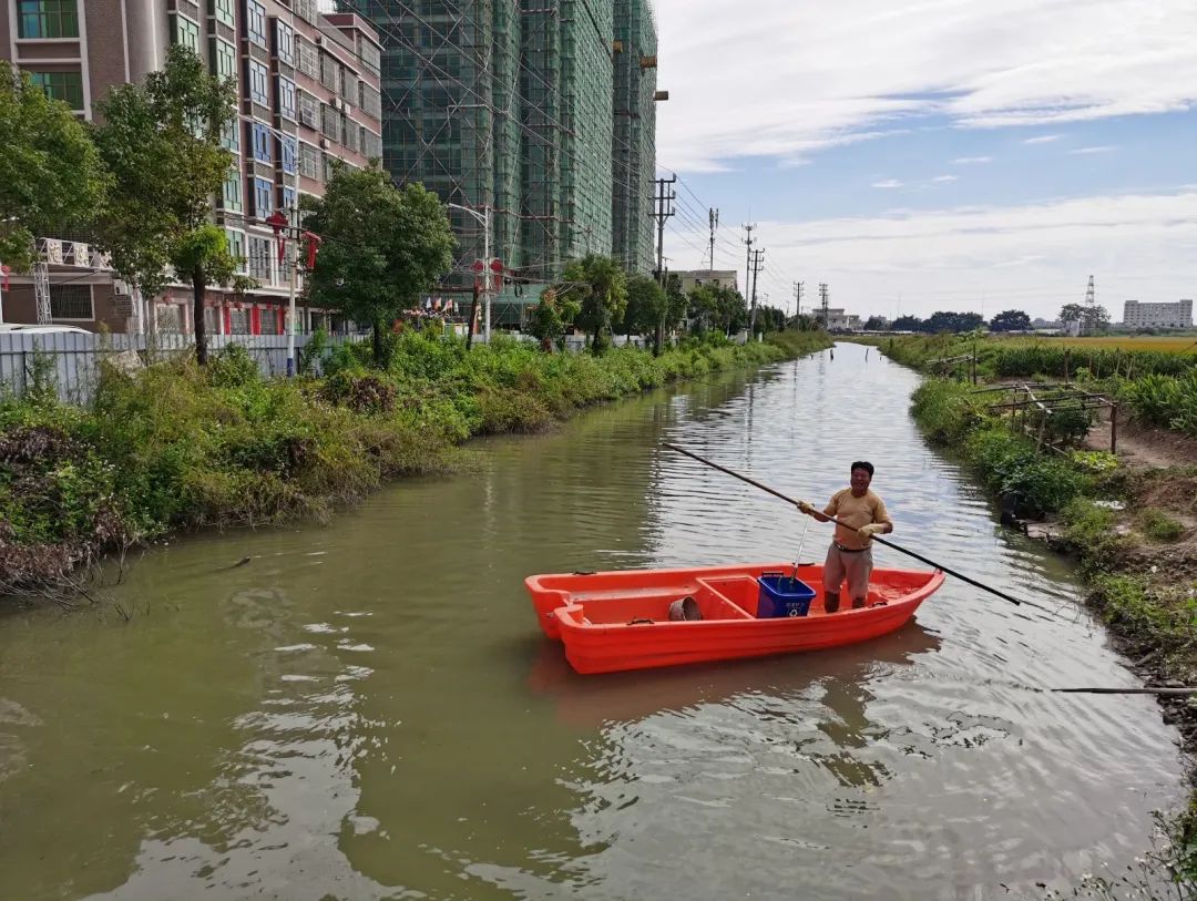 1635307530292099.jpg 4.jpg