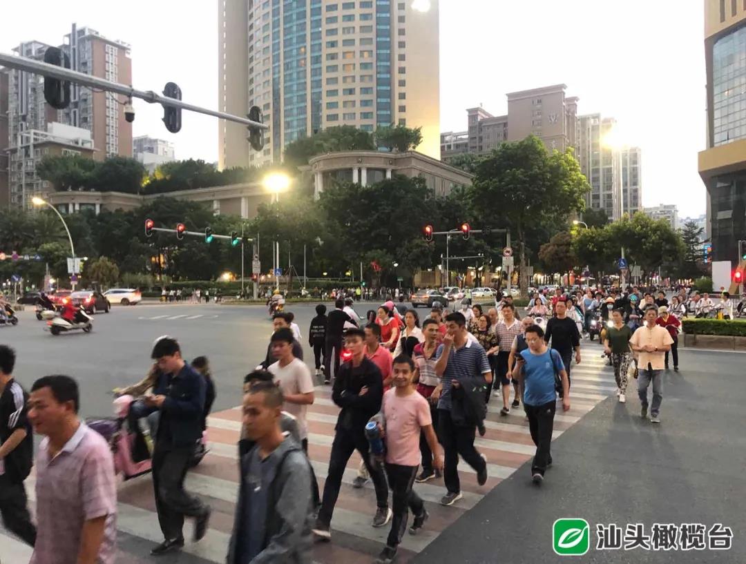 1635733385137925.jpg 5.jpg