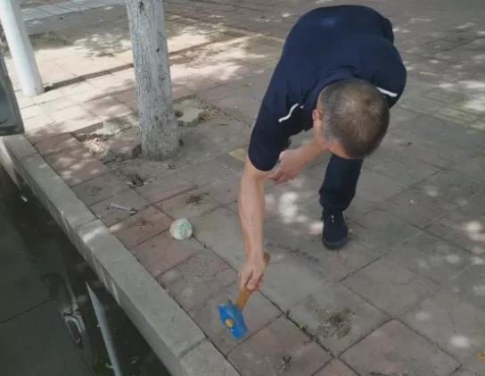 1636009183135851.jpg 1.jpg