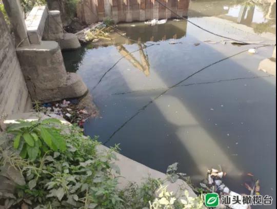 1636079167127881.jpg 1.jpg