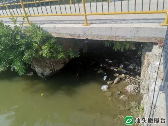 1636079179505838.jpg 2.jpg