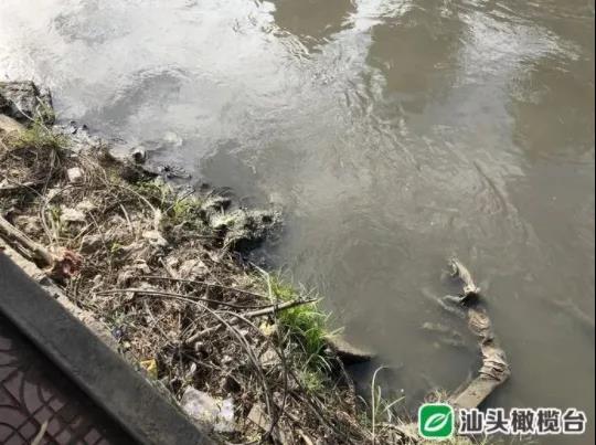 1636940122124779.jpg 1.jpg