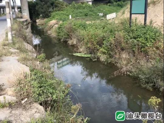 1636940140594268.jpg 2.jpg