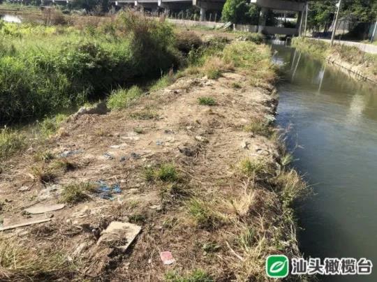 1636940155203023.jpg 3.jpg