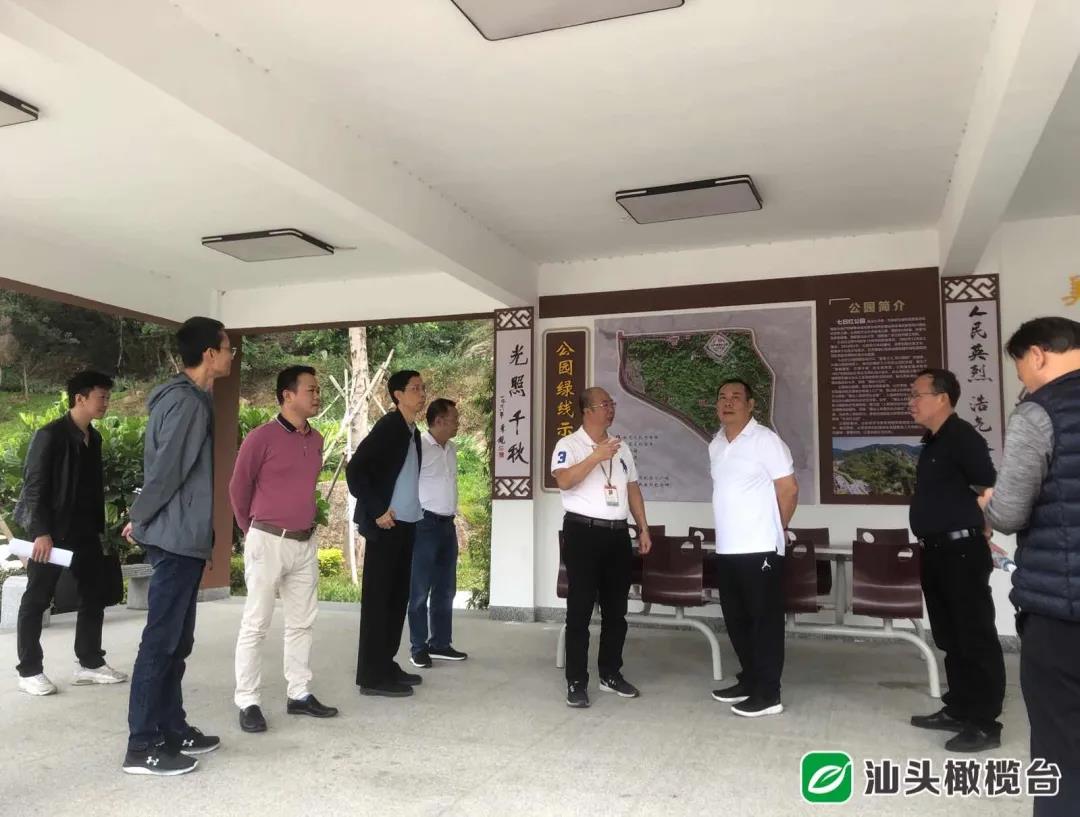 1637548227781026.jpg 2.jpg