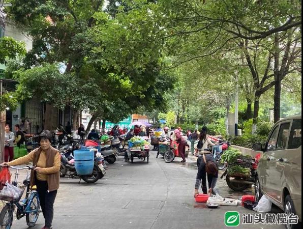 1637805839400453.jpg 8.jpg