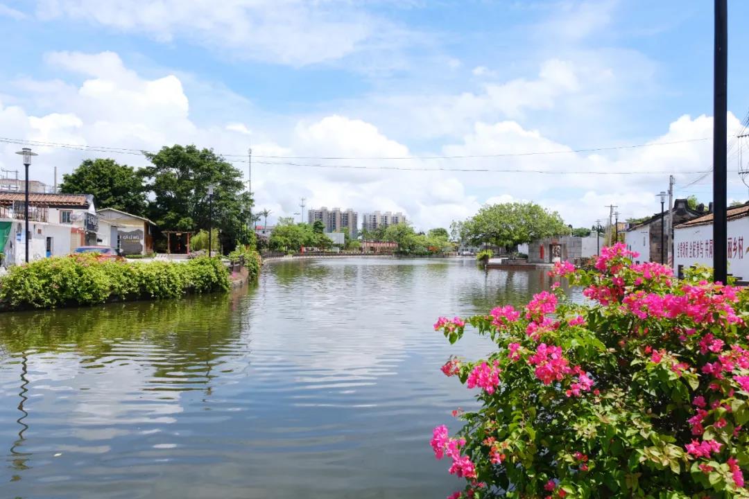 1639101308133785.jpg 4.jpg