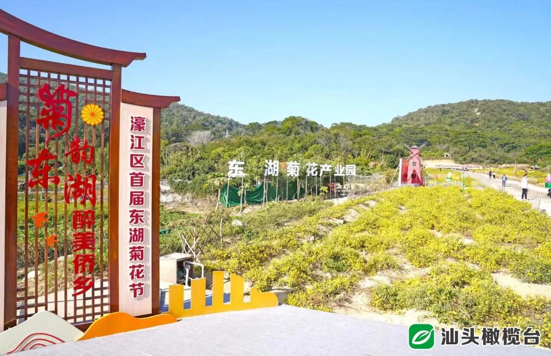 1639365295116891.jpg 6.jpg