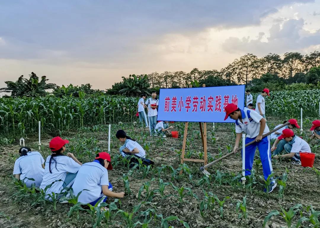 1639365825115282.jpg 12.jpg