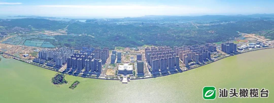 1640057690783135.jpg 4.jpg