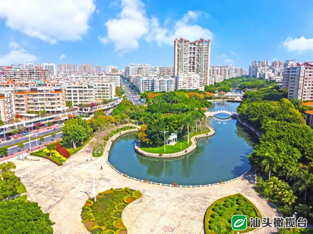 1640057722505365.jpg 8.jpg