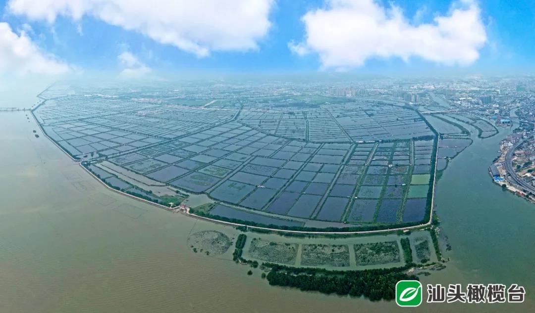 1640057728955391.jpg 9.jpg