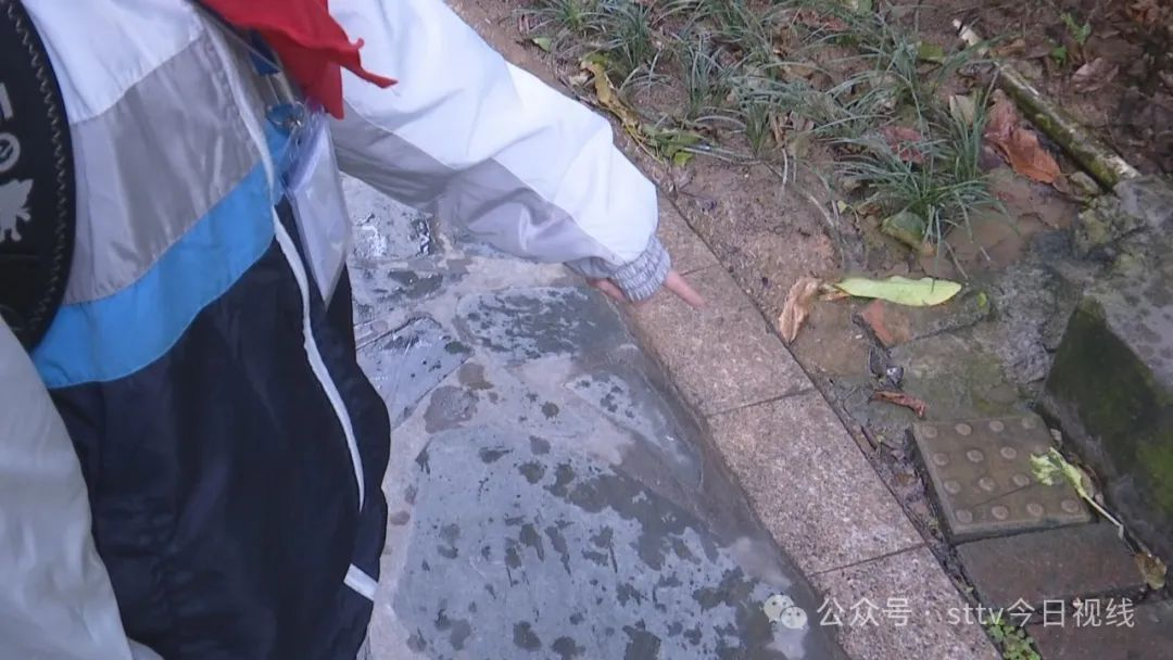 1705909803501470.jpg 1705909790011.jpg