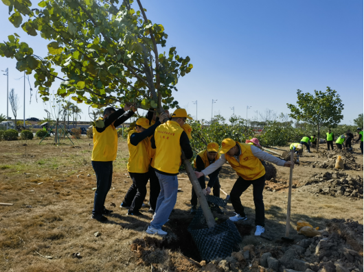 1710403271994541.jpg 1710403268159.jpg