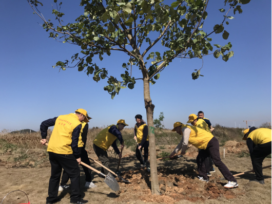 1710403302278956.jpg 1710403299386.jpg