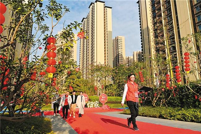 1735087101130097.jpg 1.jpg