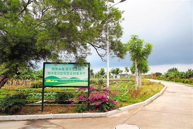 1735174017288863.jpg 1.jpg