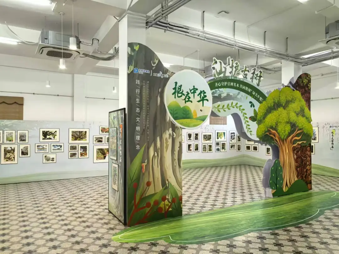 1735788906794052.jpg 1.jpg