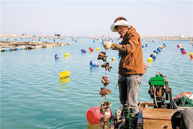 1736815695477346.jpg 1.jpg