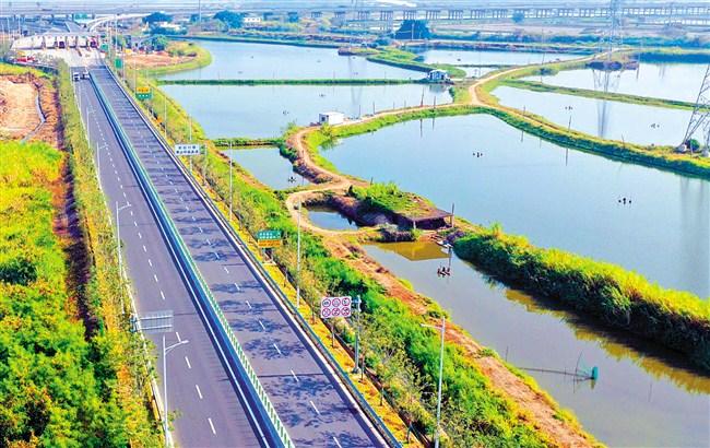 1736901993104188.jpg 1.jpg