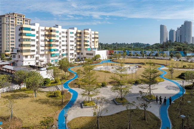 1741740012877976.jpg 1.jpg