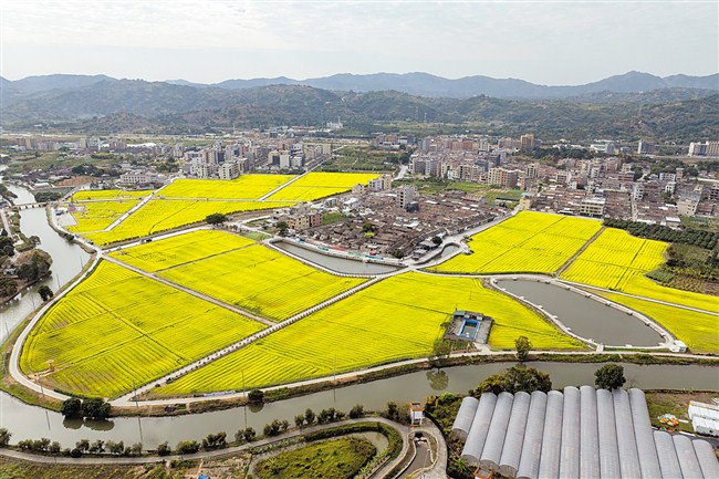 1741740190250066.jpg 1.jpg