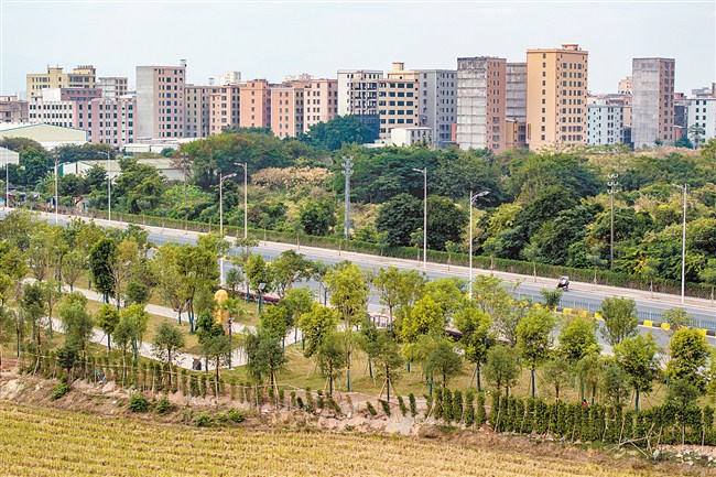 1741740346296008.jpg 1.jpg