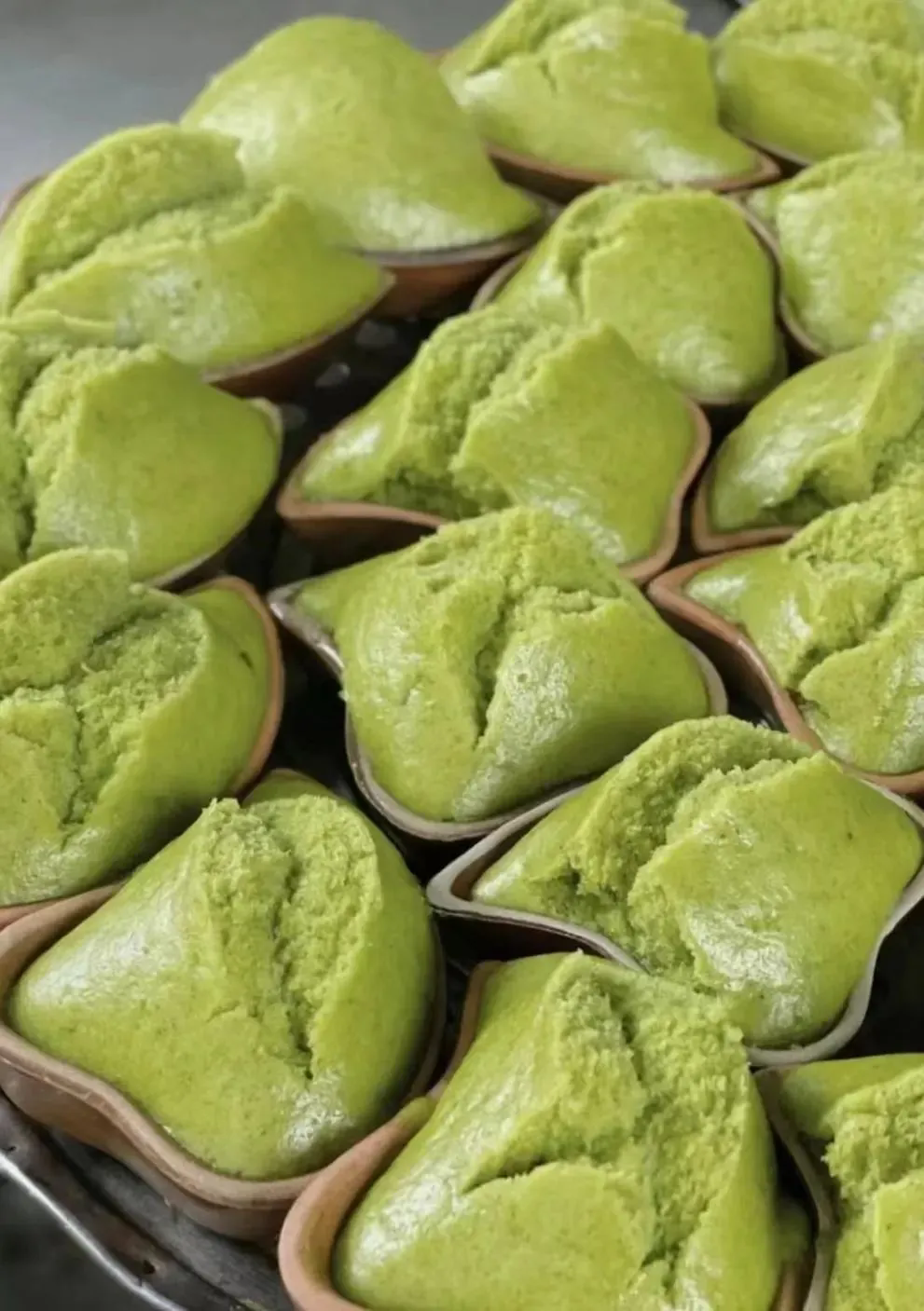 1743990805188198.png 640.webp (1).png